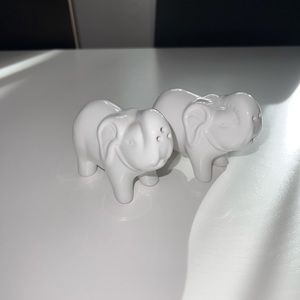 Salt and Pepper Shakers